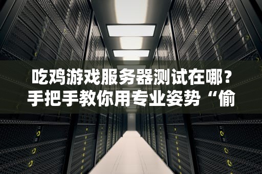 吃鸡游戏服务器测试在哪？手把手教你用专业姿势“偷窥”服务器底裤！