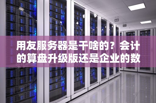 用友服务器是干啥的？会计的算盘升级版还是企业的数字大脑？