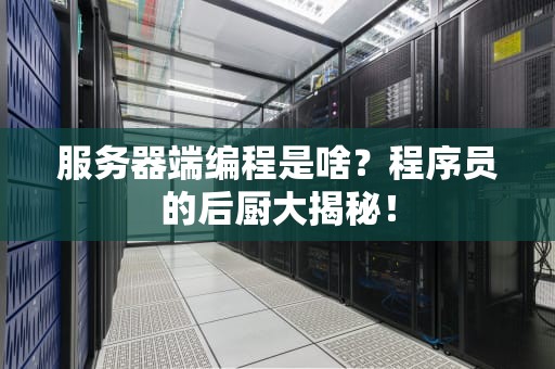 服务器端编程是啥？程序员的后厨大揭秘！