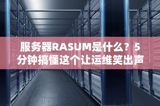 服务器RASUM是什么？5分钟搞懂这个让运维笑出声的专业术语！