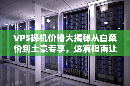 VPS裸机价格大揭秘从白菜价到土豪专享，这篇指南让你不再被坑！