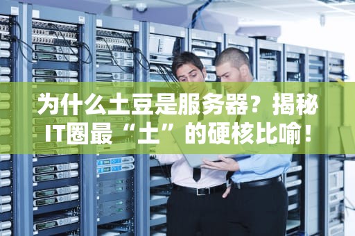 为什么土豆是服务器？揭秘IT圈最“土”的硬核比喻！