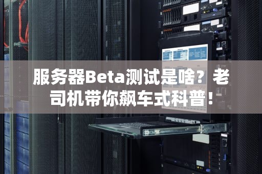 服务器Beta测试是啥？老司机带你飙车式科普！