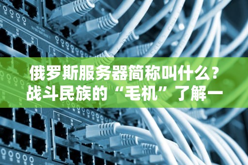 俄罗斯服务器简称叫什么？战斗民族的“毛机”了解一下！