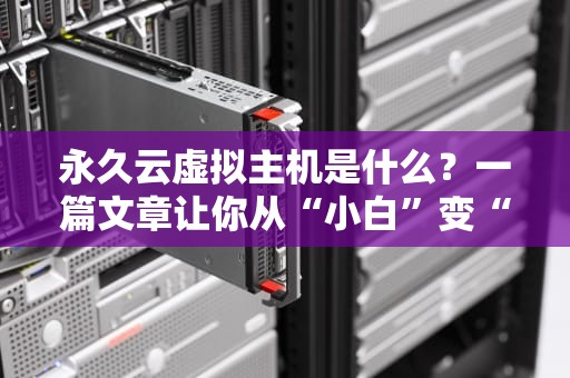 永久云虚拟主机是什么？一篇文章让你从“小白”变“大神”！（附避坑指南）