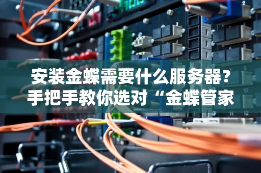 安装金蝶需要什么服务器？手把手教你选对“金蝶管家”的豪宅！