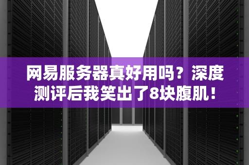 网易服务器真好用吗？深度测评后我笑出了8块腹肌！