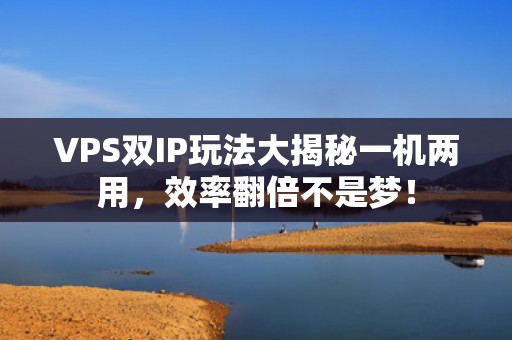 VPS双IP玩法大揭秘一机两用，效率翻倍不是梦！