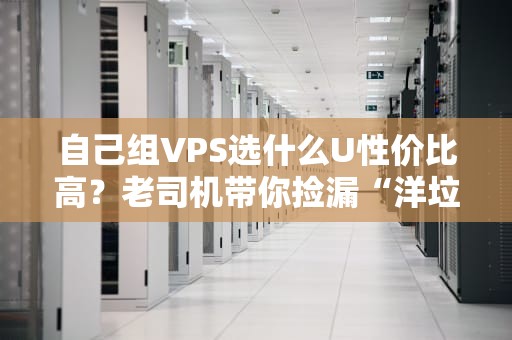 自己组VPS选什么U性价比高？老司机带你捡漏“洋垃圾”和“牙膏厂”神U！
