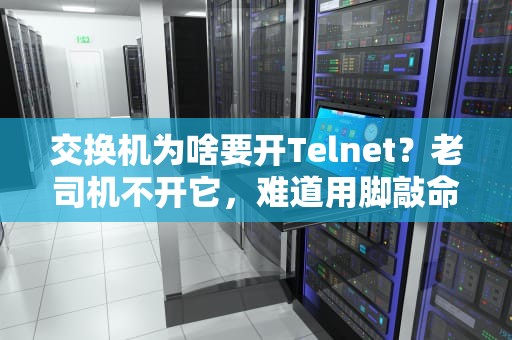 交换机为啥要开Telnet？老司机不开它，难道用脚敲命令？