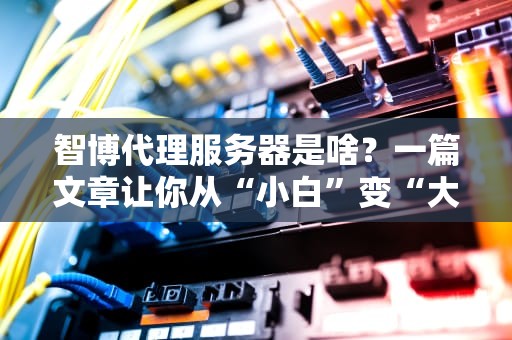 智博代理服务器是啥？一篇文章让你从“小白”变“大神”！