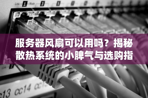 服务器风扇可以用吗？揭秘散热系统的小脾气与选购指南