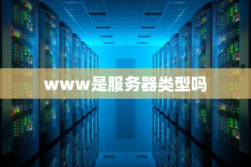 www是服务器类型吗