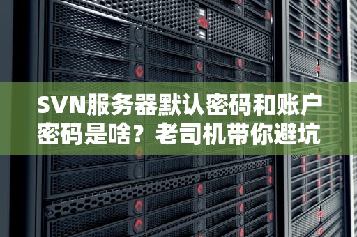SVN服务器默认密码和账户密码是啥？老司机带你避坑不翻车！
