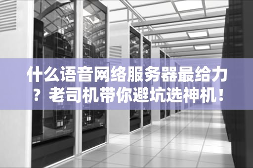 什么语音网络服务器最给力？老司机带你避坑选神机！