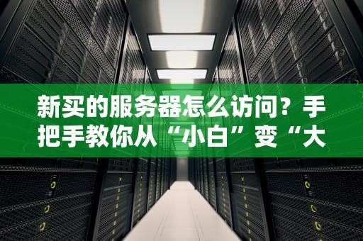 新买的服务器怎么访问？手把手教你从“小白”变“大神”！（附避坑指南）