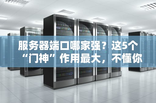 服务器端口哪家强？这5个“门神”作用最大，不懂你就亏大了！
