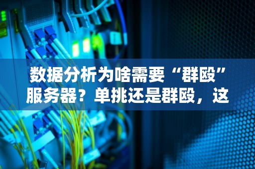 数据分析为啥需要“群殴”服务器？单挑还是群殴，这是个问题！