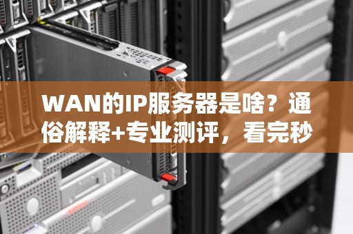 WAN的IP服务器是啥？通俗解释+专业测评，看完秒懂！