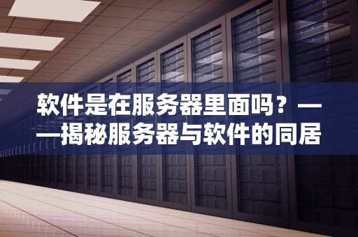 软件是在服务器里面吗？——揭秘服务器与软件的同居关系