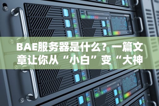 BAE服务器是什么？一篇文章让你从“小白”变“大神”！