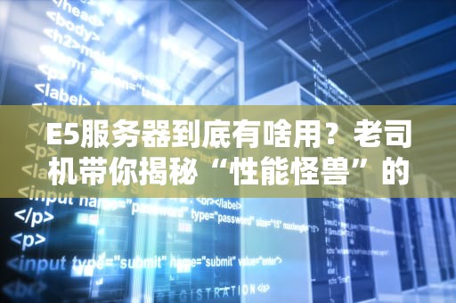 E5服务器到底有啥用？老司机带你揭秘“性能怪兽”的十八般武艺！