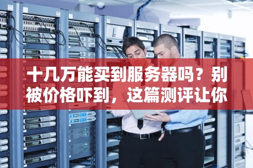 十几万能买到服务器吗？别被价格吓到，这篇测评让你秒变捡漏王！