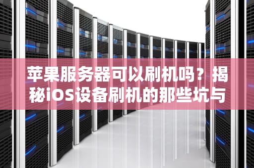 苹果服务器可以刷机吗？揭秘iOS设备刷机的那些坑与快乐！