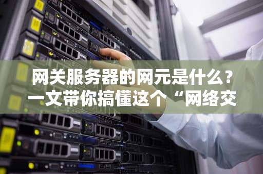网关服务器的网元是什么？一文带你搞懂这个“网络交通警察”的零部件！