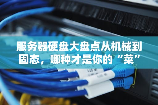 服务器硬盘大盘点从机械到固态，哪种才是你的“菜”？