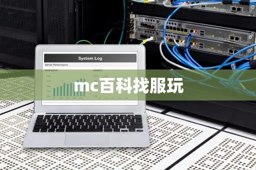 mc百科找服玩