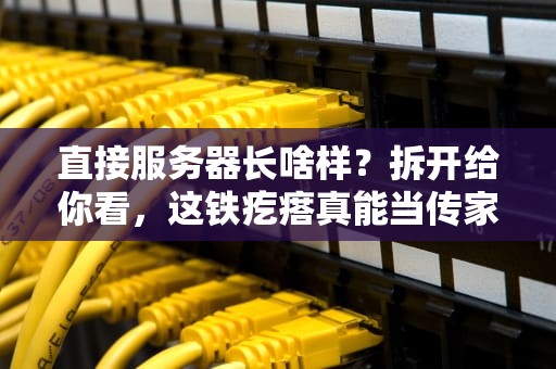直接服务器长啥样？拆开给你看，这铁疙瘩真能当传家宝？