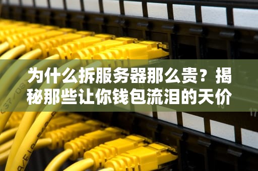 为什么拆服务器那么贵？揭秘那些让你钱包流泪的天价内幕！