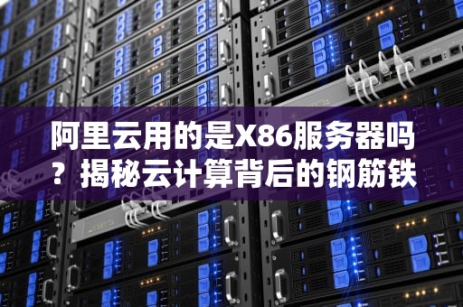阿里云用的是X86服务器吗？揭秘云计算背后的钢筋铁骨！