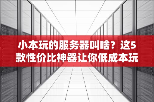 小本玩的服务器叫啥？这5款性价比神器让你低成本玩转云计算！