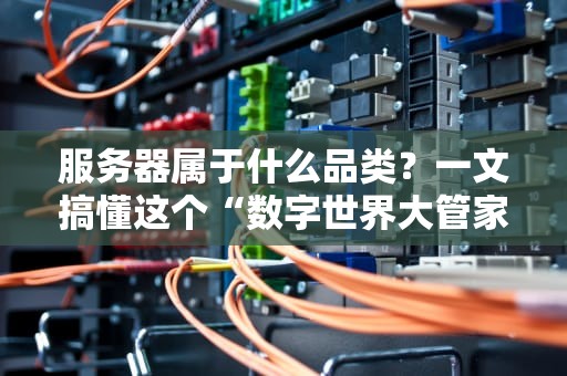 服务器属于什么品类？一文搞懂这个“数字世界大管家”的家族秘密！
