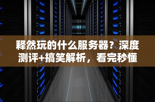 释然玩的什么服务器？深度测评+搞笑解析，看完秒懂！