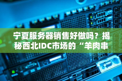 宁夏服务器销售好做吗？揭秘西北IDC市场的“羊肉串”致富经！