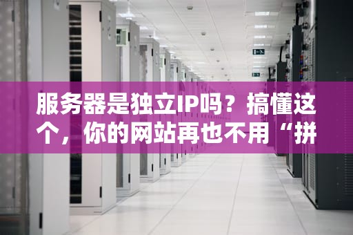 服务器是独立IP吗？搞懂这个，你的网站再也不用“拼车”啦！