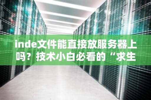 inde文件能直接放服务器上吗？技术小白必看的“求生指南”