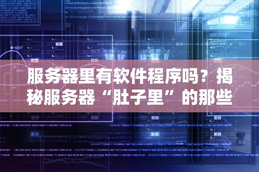 服务器里有软件程序吗？揭秘服务器“肚子里”的那些神奇代码！