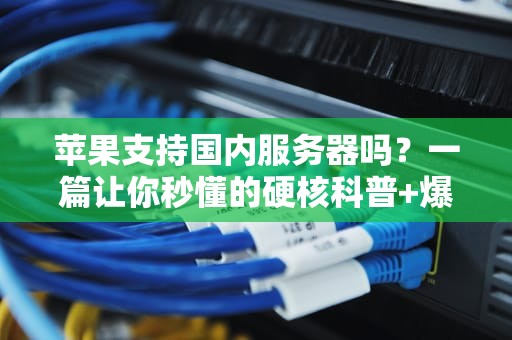 苹果支持国内服务器吗？一篇让你秒懂的硬核科普+爆笑测评！