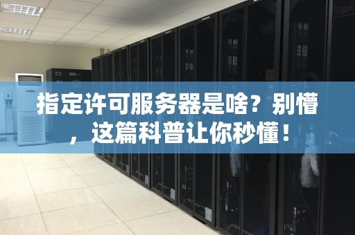 指定许可服务器是啥？别懵，这篇科普让你秒懂！
