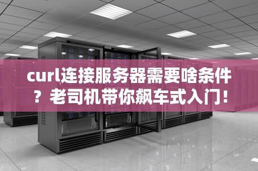 curl连接服务器需要啥条件？老司机带你飙车式入门！