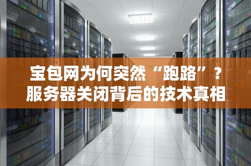 宝包网为何突然“跑路”？服务器关闭背后的技术真相与行业启示
