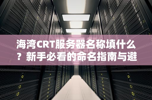 海湾CRT服务器名称填什么？新手必看的命名指南与避坑攻略！