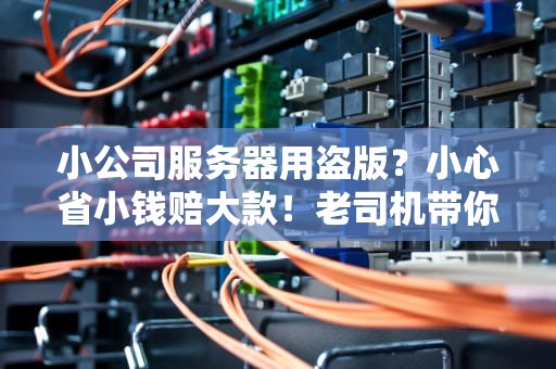 小公司服务器用盗版？小心省小钱赔大款！老司机带你避坑指南