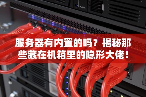 服务器有内置的吗？揭秘那些藏在机箱里的隐形大佬！