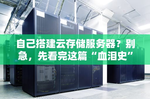 自己搭建云存储服务器？别急，先看完这篇“血泪史”再决定！