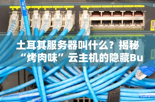 土耳其服务器叫什么？揭秘“烤肉味”云主机的隐藏Buff！